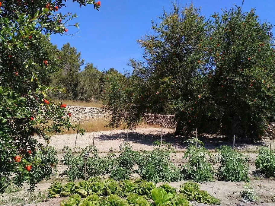 Vila Can Ferrer Authentic Payesa House San Antonio  0*, San Antonio (Ibiza)